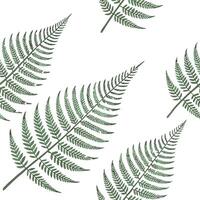 Minimalist fern seamless tile pattern with simple fern silhouettes on a white background perfect for modern bathrooms concept as Simple fern silhouettes on white background create Clean Pro 7 vector