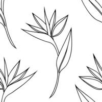 Minimalist monochrome Bird of Paradise seamless pattern with simple lines on white background concept as Simple line monochrome Bird of Paradise flowers creating minimalist seamles Clean Pro vector