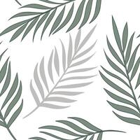 Minimalist palm leaf seamless tile pattern with simple green silhouettes and soft grey accents ideal for modern kitchens concept as Simple green palm silhouettes and soft grey acce Clean Pro 2 vector