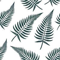 Modern fern seamless tile pattern with geometric fern designs on a white background perfect for contemporary interiors concept as Geometric fern designs on white background create Clean Pro vector