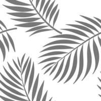 Monochrome palm leaf seamless tile pattern clean isolated white background ideal for modern minimalist designs branding packaging concept as Monochrome palm leaf seamless pattern o Clean Pro vector