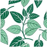 Refreshing summer leaves seamless pattern with mint and sage leaves for a cool crisp interior vibe concept as Mint and sage leaves arranged seamlessly to create a refreshing crisp Clean Pro 2 vector