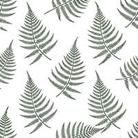 Soft green fern leaves seamless tile pattern with delicate fronds symbolizing new life and renewal concept as Soft green ferns with delicate fronds create a seamless tile pattern s Clean Pro vector