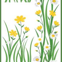 Spring meadow flower seamless pattern with buttercups and daisies for organic spring spaces concept as Organic spring meadow flowers like buttercups and daisies arranged in a seaml Clean Pro vector