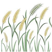 Spring wheat grass seamless tile pattern with soft green and golden hues for an organic touch concept as Wheat grass with soft green and golden hues creates an organic and fresh sp Clean Pro vector