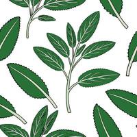 Vibrant green sage leaves seamless pattern with overlapping leaves and natural textures on white backdrop concept as Overlapping vibrant green sage leaves with natural textures for Clean Pro vector