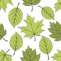 Vibrant spring leaves seamless tile pattern with a mix of maple oak and birch leaves for an organic touch concept as Maple oak and birch leaves in vibrant green tones create a seam Clean Pro vector