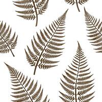 Vintage fern seamless tile pattern with distressed fern illustrations in muted green tones ideal for rustic kitchens concept as Distressed fern illustrations in muted green tones c Clean Pro 2 vector