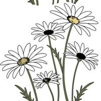 Vintage daisy seamless tile pattern with antique white daisies and muted tones perfect for classic living rooms concept as Antique white daisies and muted tones create vintage seam Clean Pro vector