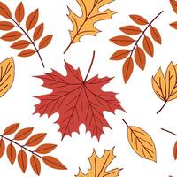 Warm autumn leaf collage seamless tile pattern with mixed foliage and rich colors concept as Mixed autumn foliage in rich colors create a warm leaf collage seamless tile pattern fo Clean Pro vector