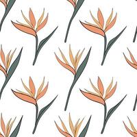 Watercolor Bird of Paradise seamless pattern with soft brush strokes and white background concept as Soft watercolor Bird of Paradise flowers with gentle brush strokes creating del Clean Pro vector