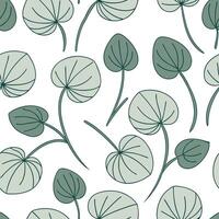 Watercolor Pilea seamless pattern with soft brush strokes and white background concept as Soft watercolor Pilea leaves with gentle brush strokes creating a delicate seamless patter Clean Pro vector