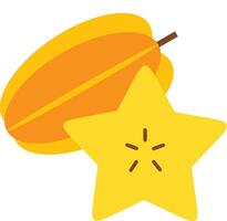 A star and a cocoa pod vector