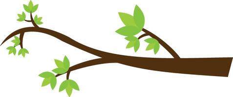A branch with leaves and green leaves vector