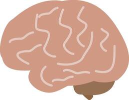 A brain with a white background and a brown outline vector