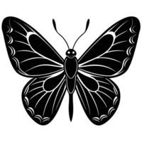 Elegant Butterfly Silhouette With Detailed Wing Patterns Isolated On White Background vector