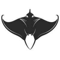 Elegant Minimalist Black And White Stingray Illustration Design Element vector