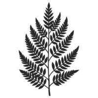 Minimalist Black Fern Leaf Silhouette For Botanical Design And Decoration Elements vector