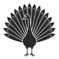 Elegant Peacock Illustration Displaying Feathers With Graphic Design And Monochrome Style vector
