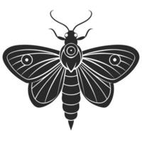 Elegant Moth Insect Graphic With Intricate Wing Pattern Illustration Art vector