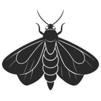 Minimalist Moth Illustration Elegant Insect Design For Logo Creation Projects vector