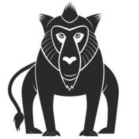 Graphic Flat Illustration Of A Stylized Black And White Mandrill Monkey vector