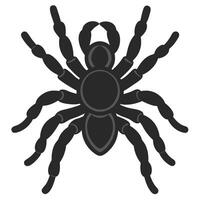 Black Tarantula Graphic Illustration With Eight Legs On Isolated White Background vector