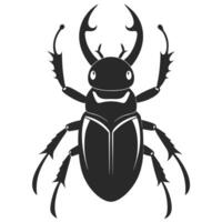 Stag Beetle Illustration Detailed Insect Graphic For Print Or Web Design vector
