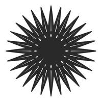 Abstract Black Starburst Graphic Illustration With Decorative Inner Circle Pattern vector