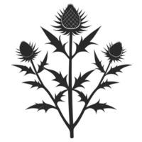 Elegant Thistle Silhouette Detailed Botanical Illustration For Graphic Design Projects vector