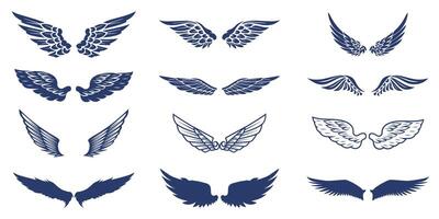 Detailed Wing Collection with Different Styles. A diverse collection of highly detailed wing designs, featuring a mix of sharp, smooth, and feathered styles. vector