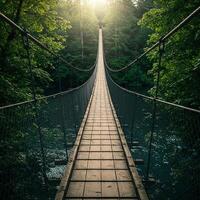 A suspension bridge in the middle of a forest photo