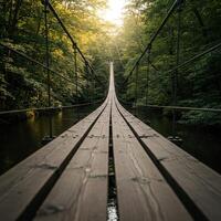 A bridge in the woods with a sun shining through the trees photo