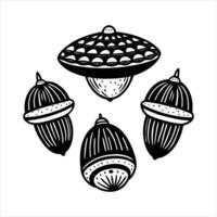 Acorn Shape Vectors