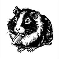 guinea pig with carrot munching vector