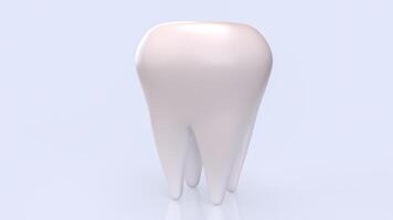 The White teeth for Dental concept 3d Rendering. photo