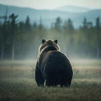 Bear walks away in misty forest photo