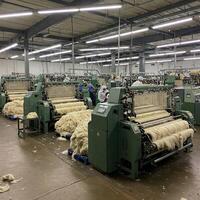 A factory with sheep and wool being processed photo