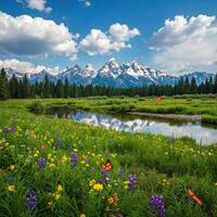Majestic mountains, wildflowers, butterflies, and a tranquil meadow photo