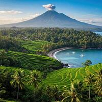 Volcanic Indonesian Rice Terraces and Bay photo