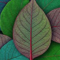 Vibrant Colorful Leaves Close-up photo