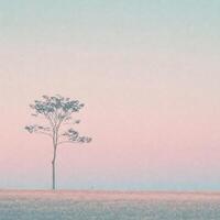 Solitary tree on pastel meadow at sunrise photo