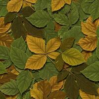 Autumn leaves pattern on forest floor photo