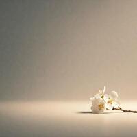 Delicate spring blossom on muted background photo