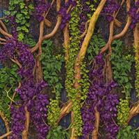 Vibrant vines climb textured wall photo