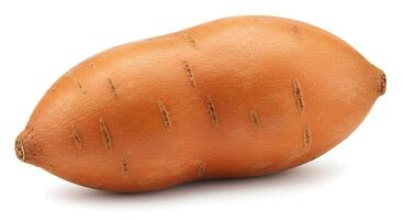 Close Up of a Fresh Sweet Potato Isolated on White Background photo