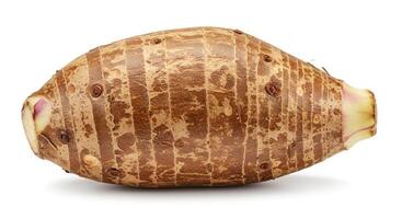 Fresh Taro Root Vegetable Isolated on White Background Healthy Ingredient photo