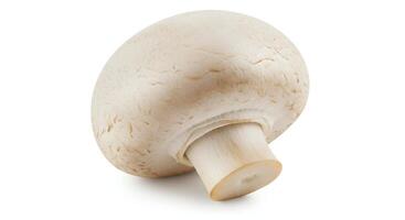 Close-up of a White Button Mushroom on a White Background photo
