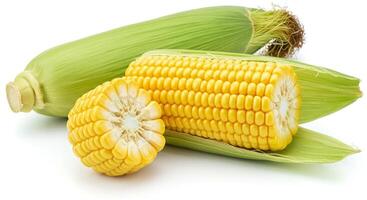 Fresh Corn on the Cob with Husk and Kernel Cross Section photo