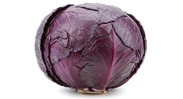 Whole Red Cabbage Head Isolated on White Background Studio Shot photo